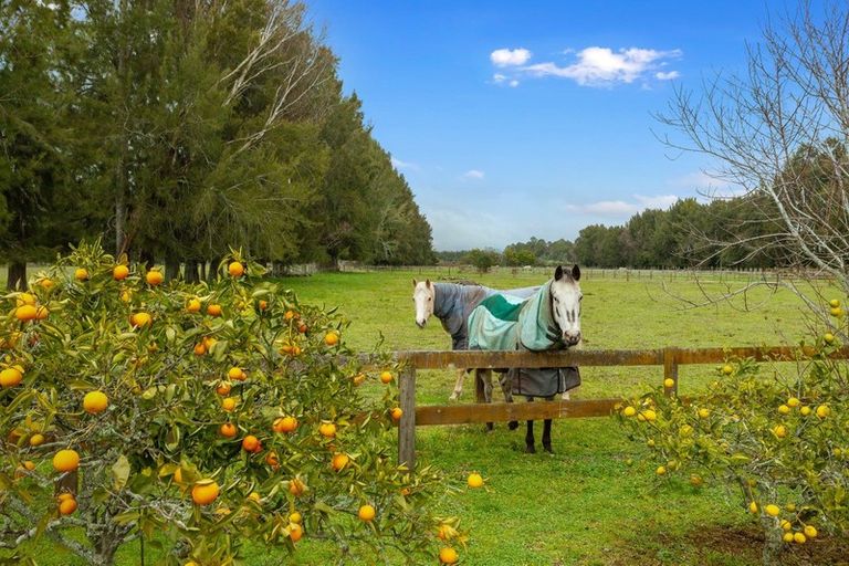 Photo of property in 299 Hallett Road, Otakiri, Whakatane, 3192