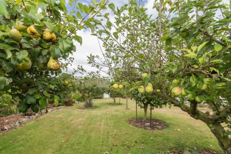 Photo of property in 234 Kawiu Road, Levin, 5510