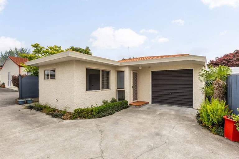 Photo of property in 8 Lucknow Road, Havelock North, 4130