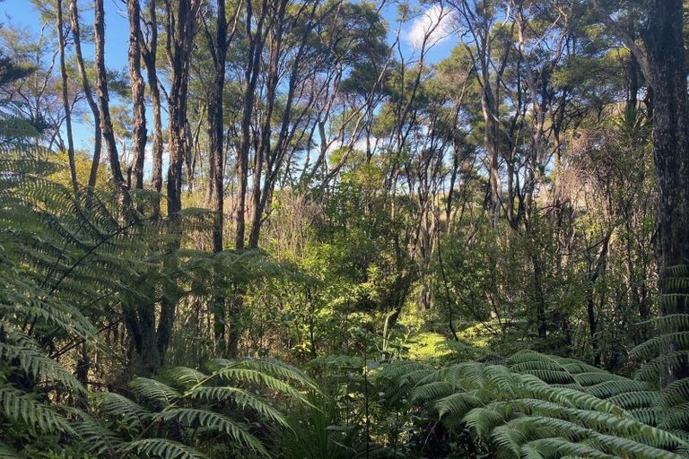 Photo of property in 1329 Hibiscus Coast Highway, Puhoi, Warkworth, 0994