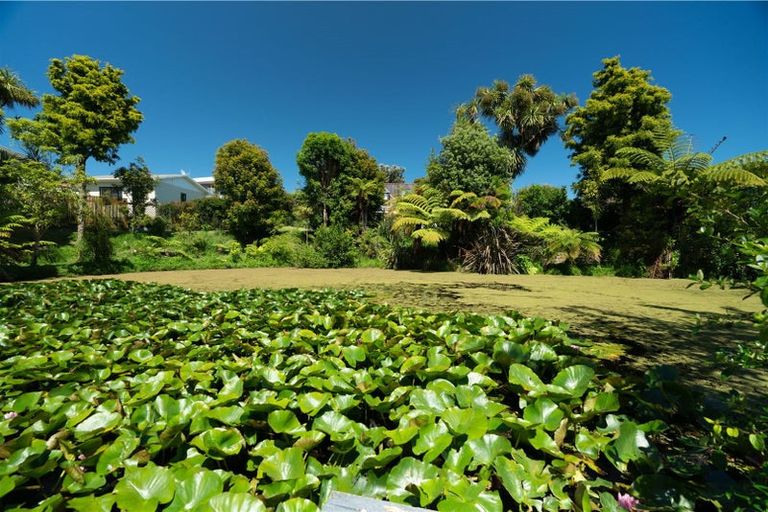 Photo of property in 43 Langdale Avenue, Paraparaumu, 5032