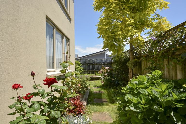 Photo of property in 29b Myres Street, Otumoetai, Tauranga, 3110