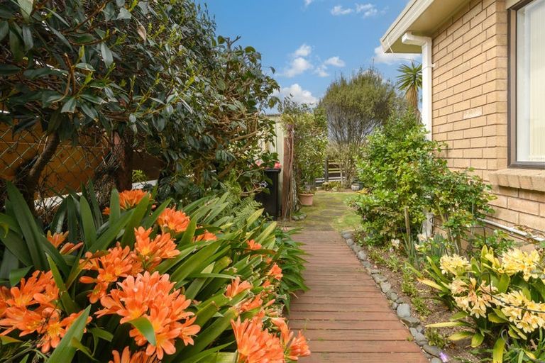 Photo of property in 13a Solway Place, Mount Maunganui, 3116