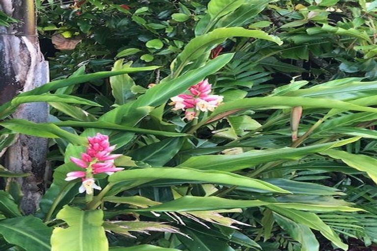 Photo of property in 20b Cambridge Road, Riverhead, 0820