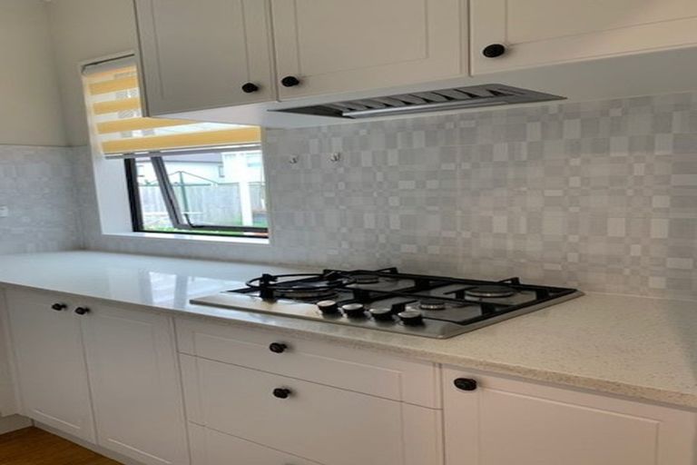 Photo of property in 24 Drumbuoy Drive, Flat Bush, Auckland, 2019