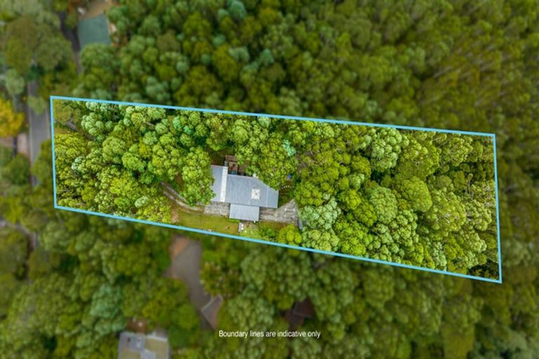 Photo of property in 30 Kopiko Road, Titirangi, Auckland, 0604