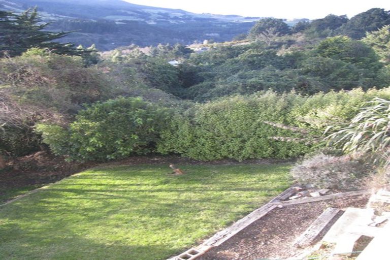Photo of property in 165 Evans Street, Opoho, Dunedin, 9010