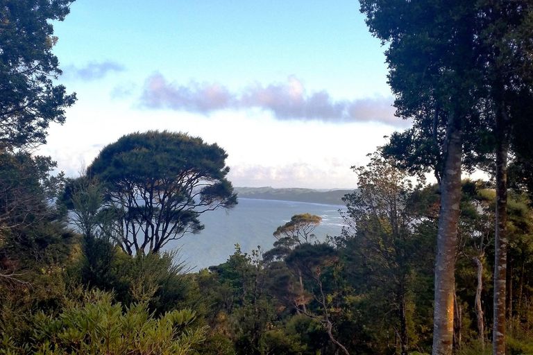 Photo of property in 671c Wainui Road, Raglan, 3297