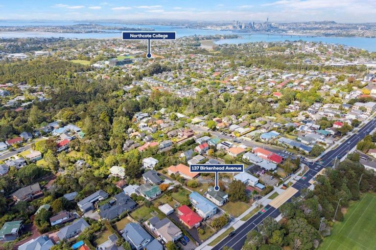 Photo of property in 137 Birkenhead Avenue, Birkenhead, Auckland, 0626