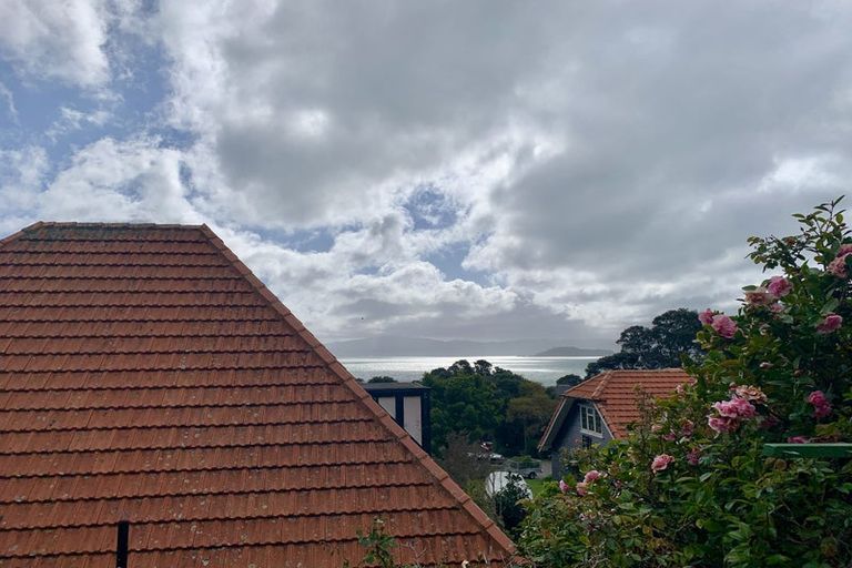 Photo of property in 1 Marama Terrace, Eastbourne, Lower Hutt, 5013