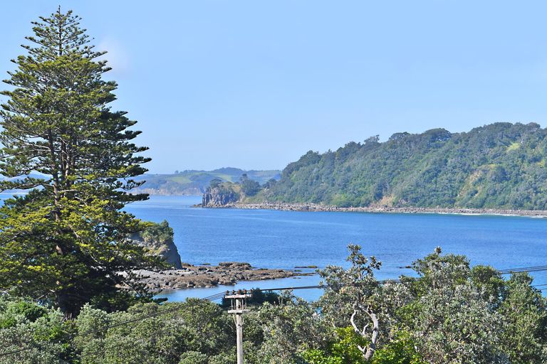 Photo of property in 47 Grand View Road, Leigh, 0985