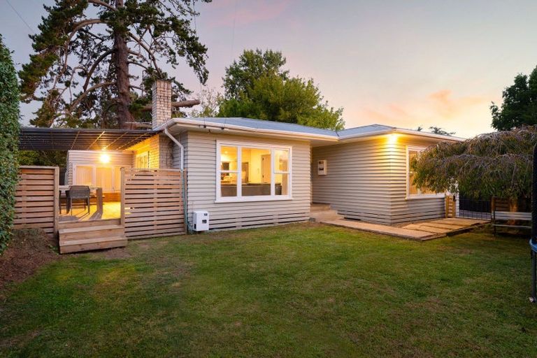 Photo of property in 38 Urlich Avenue, Melville, Hamilton, 3206