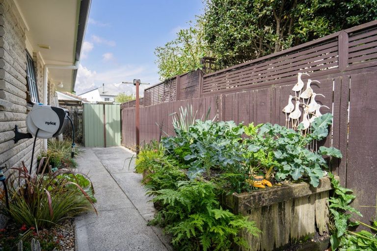 Photo of property in 55b Queen Street, Cambridge, 3434