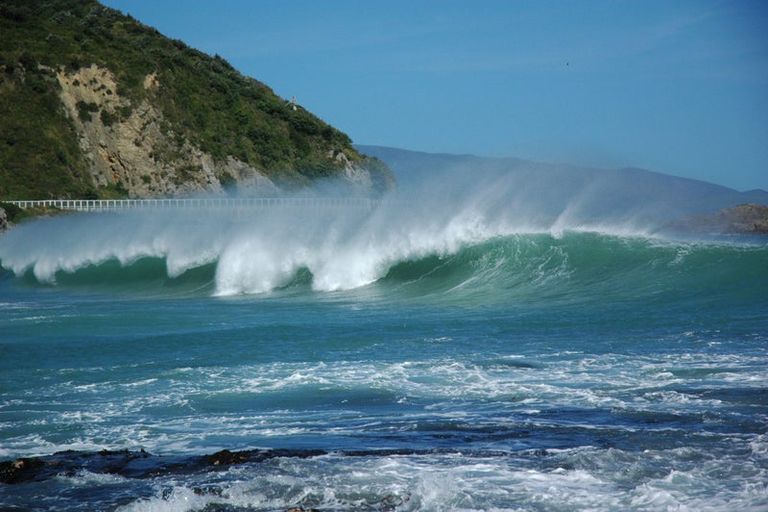 Photo of property in 203 Houghton Bay Road, Houghton Bay, Wellington, 6023