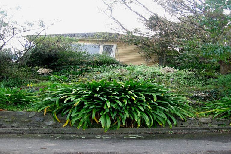 Photo of property in 9 Koromiko Avenue, Roslyn, Palmerston North, 4414