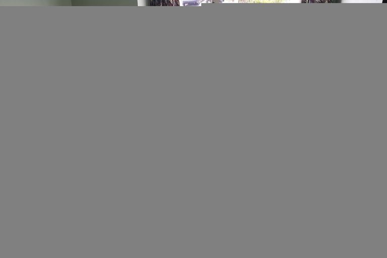Photo of property in 147a Cargill Street, Dunedin Central, Dunedin, 9016