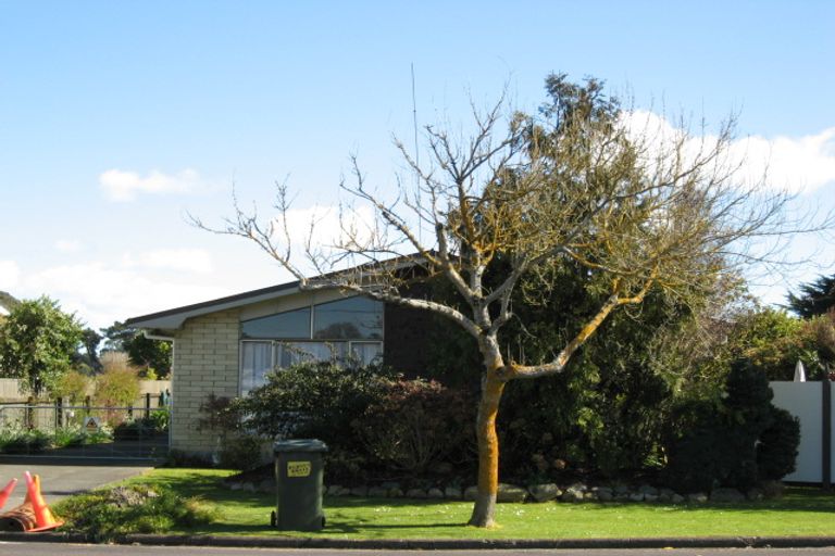 Photo of property in 26 Skerman Street, Marton, 4710