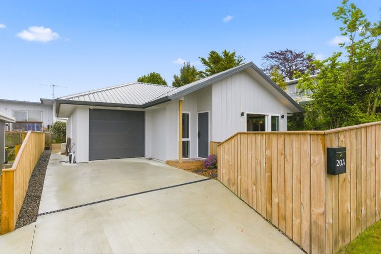 Photo of property in 20a Argyle Avenue, Levin, 5510