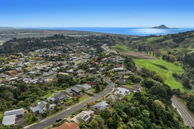 Photo of property in 41 Melville Drive, Whakatane, 3120
