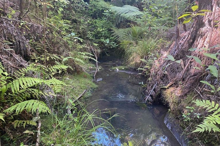 Photo of property in 1329 Hibiscus Coast Highway, Puhoi, Warkworth, 0994