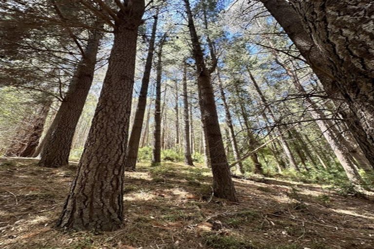 Photo of property in 13 Okuti Valley Road, Little River, 7591