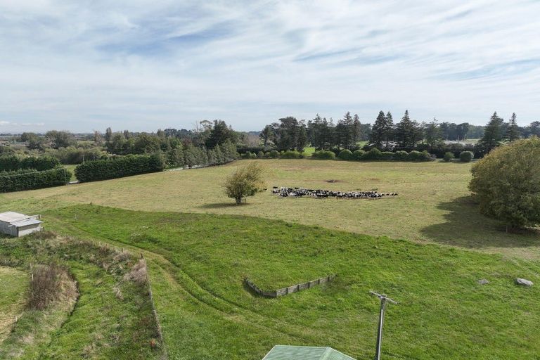 Photo of property in 59 Parallel Road, Cambridge, 3495