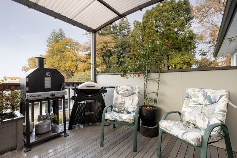 Photo of property in 28 Harrier Street, Parkvale, Tauranga, 3112