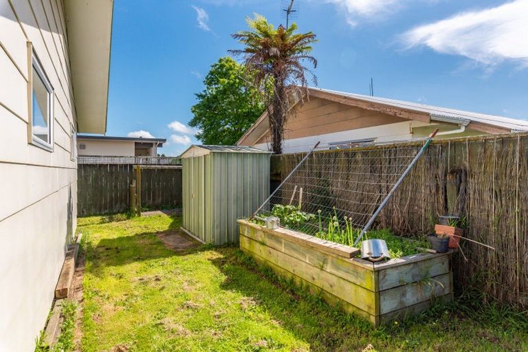 Photo of property in 179 Tiro Tiro Road, Levin, 5510