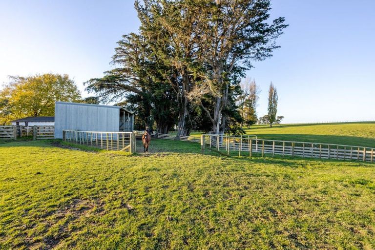 Photo of property in 180 Tipapakuku Road, Dannevirke, 4930