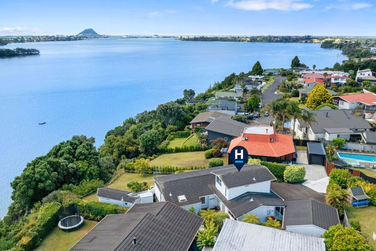 Photo of property in 33 Ririnui Place, Maungatapu, Tauranga, 3112