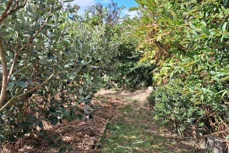 Photo of property in 14 George Street, Waimate, 7924