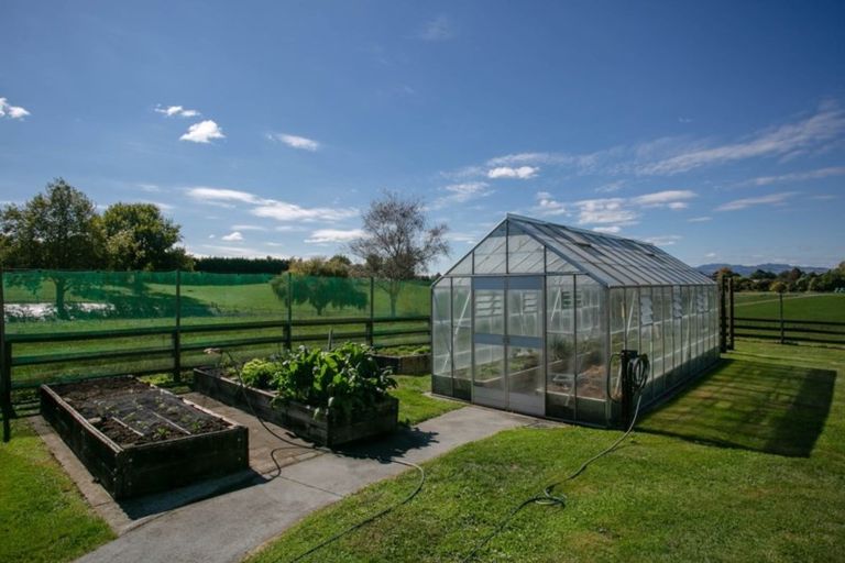 Photo of property in 69 Saint Leger Road, Te Awamutu, 3875