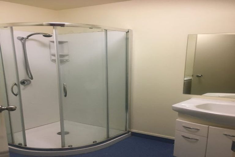 Photo of property in Basin Reserve Complex, 13/4 Sussex Street, Mount Cook, Wellington, 6021