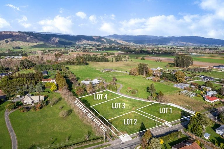 Photo of property in 43 Gillespie Street, Lake Hawea, 9382