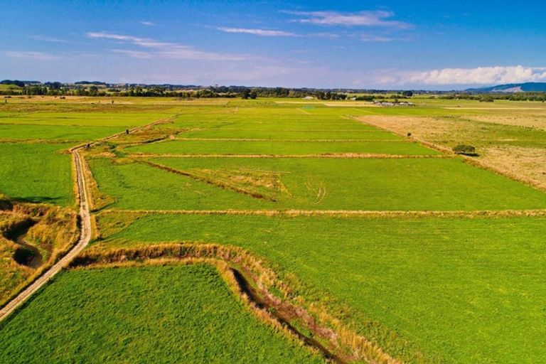 Photo of property in 134 Waikawa Beach Road, Manakau, Levin, 5573