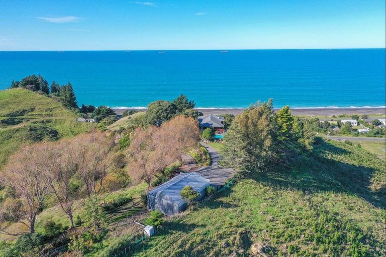 Photo of property in 1317 State Highway 2, Eskdale, Napier, 4182