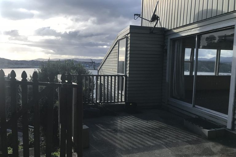 Photo of property in 41 Hungerford Road, Lyall Bay, Wellington, 6022