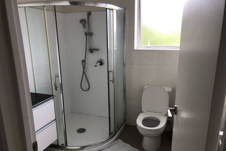 Photo of property in 8 Kouras Place, Flat Bush, Auckland, 2016