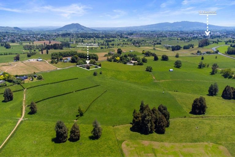 Photo of property in 79 Puahue Road, Te Awamutu, 3875