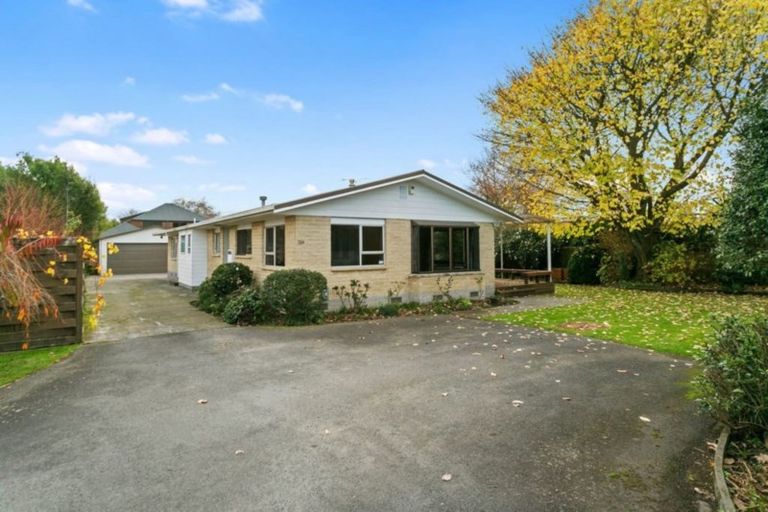 Photo of property in 70a Grey Street, Cambridge, 3434