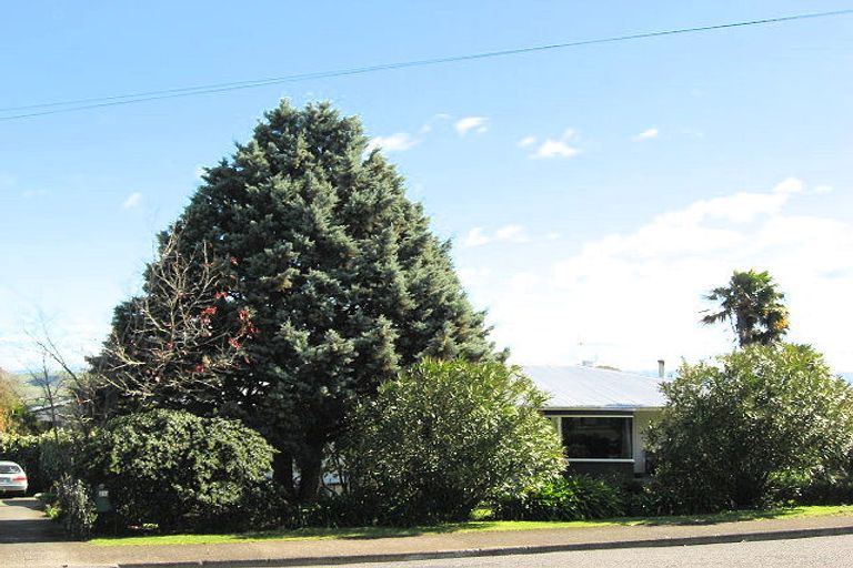 Photo of property in 25a Nelson Street, Waipukurau, 4200