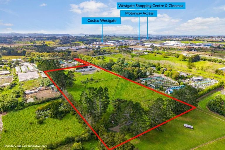 Photo of property in 162 Fred Taylor Drive, Whenuapai, Auckland, 0814