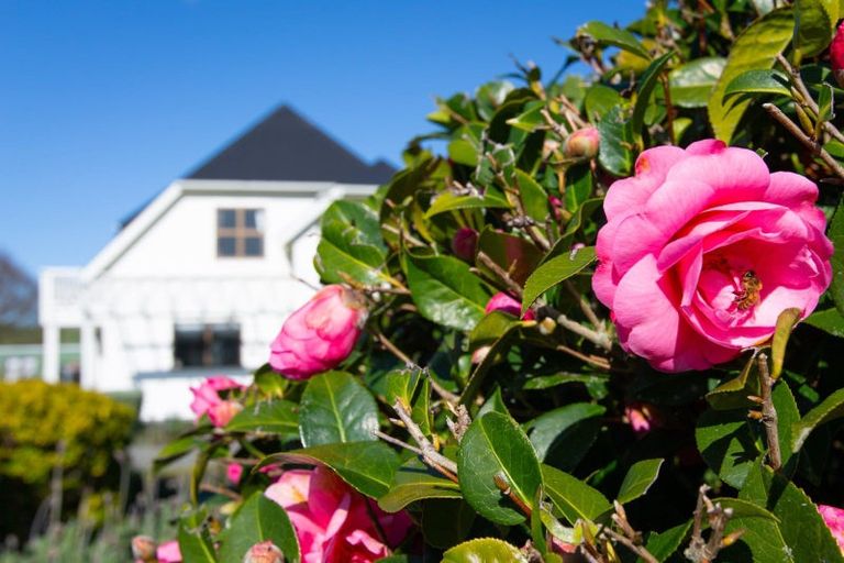 Photo of property in 66 Hamilton Road, Dannevirke, 4976