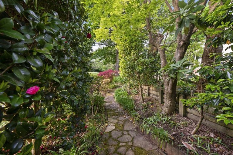 Photo of property in 24d Walford Drive, Lynmore, Rotorua, 3010