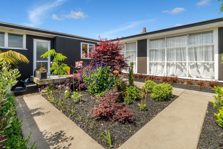 Photo of property in 11b Arundel Street, Tauranga, 3110
