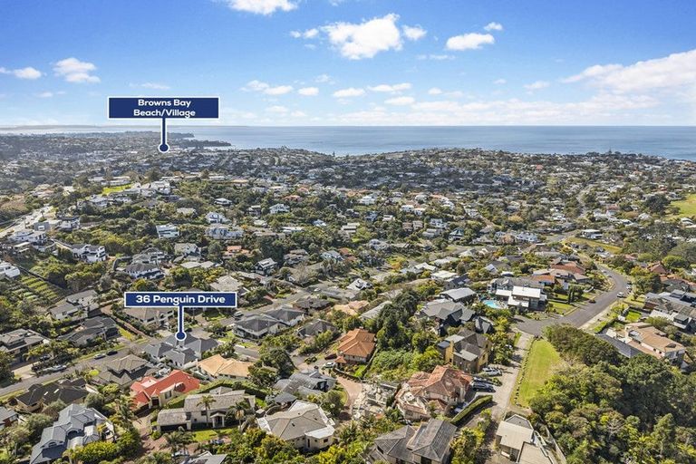 Photo of property in 1a Adelie Place, Murrays Bay, Auckland, 0630