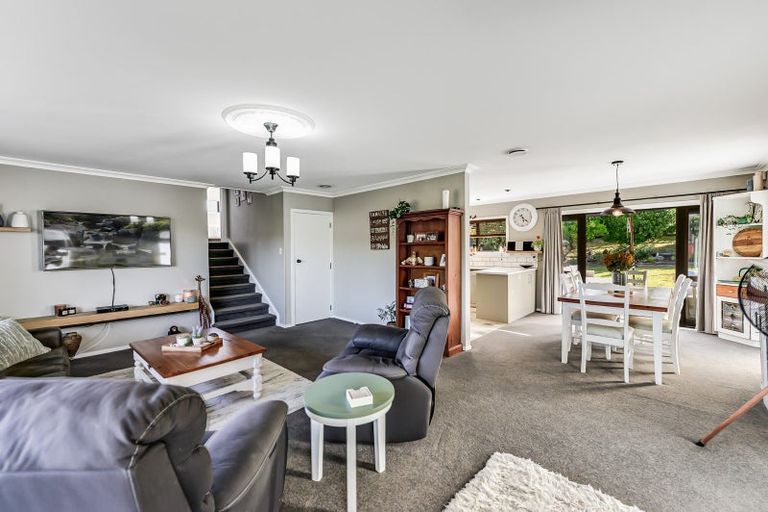 Photo of property in 19 Maple Avenue, Dinsdale, Hamilton, 3204