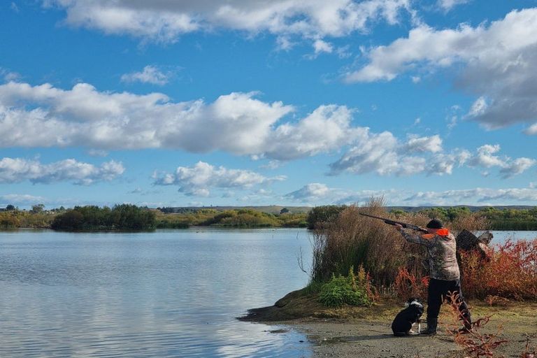Photo of property in 11 Jensen Drive, Waipukurau, 4282