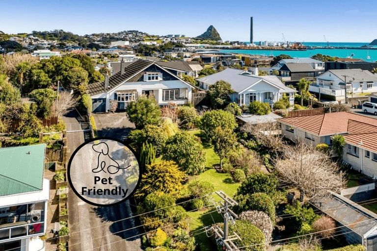Photo of property in 4 Kitchener Terrace, Moturoa, New Plymouth, 4310