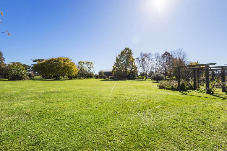 Photo of property in 208 Livingstone Road, Te Poi, Matamata, 3473